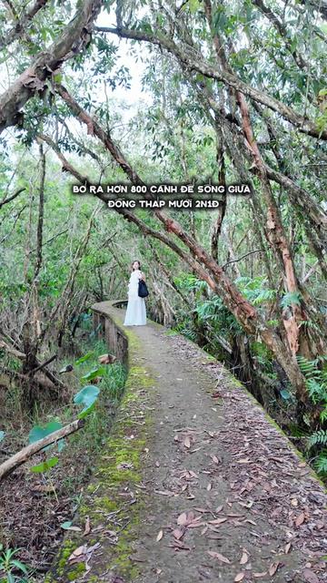 @Hana Phiêu Lưu Ký