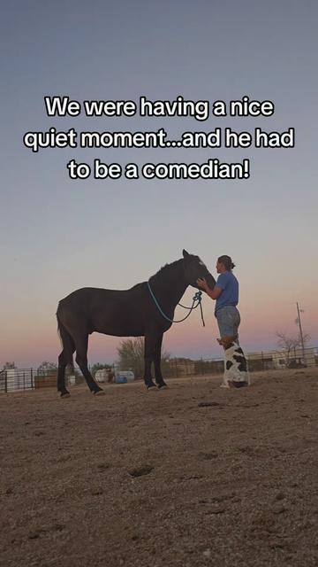 @🐎🐴picture perfect🐴🐎