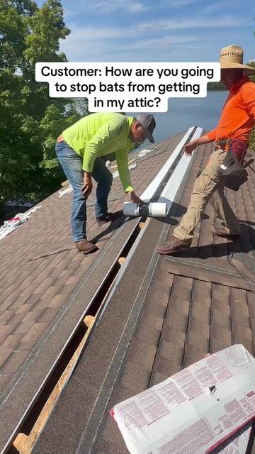 @Roofertiktok