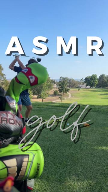 @GoGoGolf & Dinks
