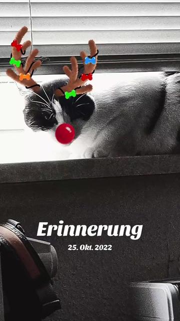 @Freiwildmama20
