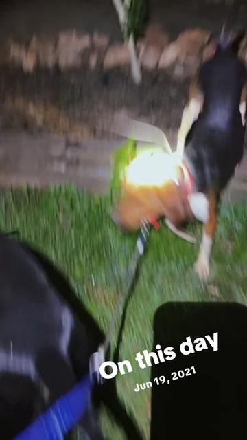@Brandon Thomas gen❌