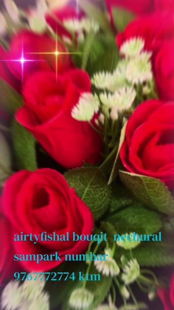 @๐ต๐๐๐๐๐๐โ๏ธโ๏ธโ๏ธ