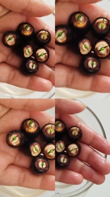 @Lotus bitki satışı
