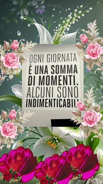 @Vittoria Vita