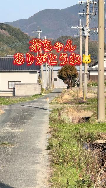 @JUNðð蟲家ã®ãªãã¿ã³