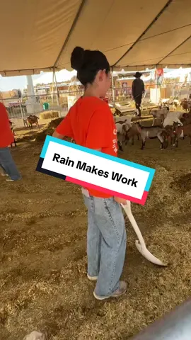 @cowboymax