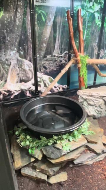 @BeWild Reptile Rescue
