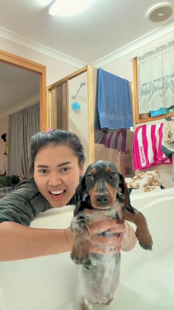@Nonativespeaker/Babe's mom🐾