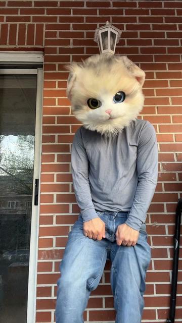 @The CaT 😼
