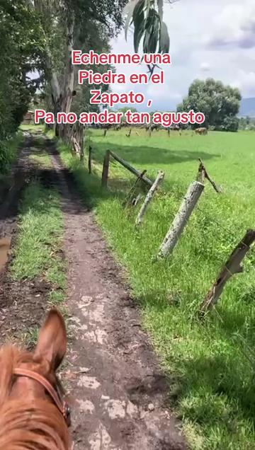 @❤️🔥💘RobertoMoreno🦁♌️