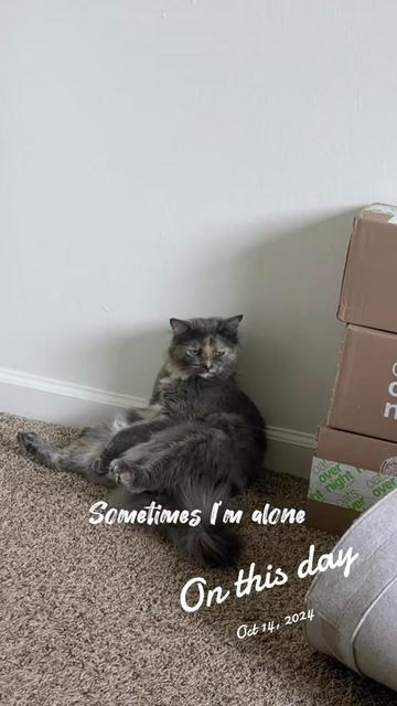 @2goldensandacat