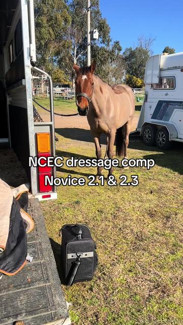 @TDDG Equestrian