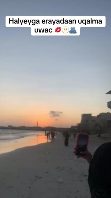 @Xamda02