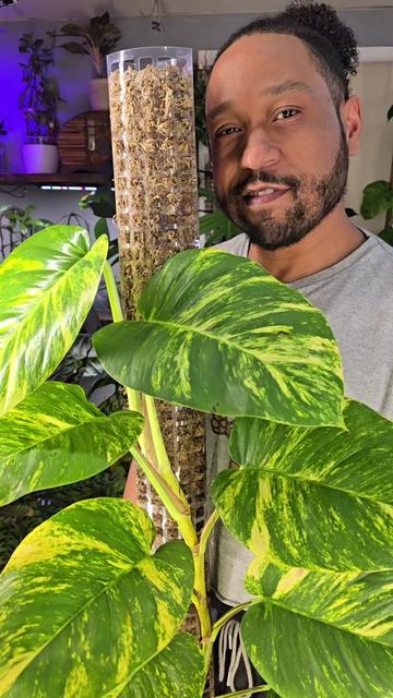 @JT - BigEGOPlants