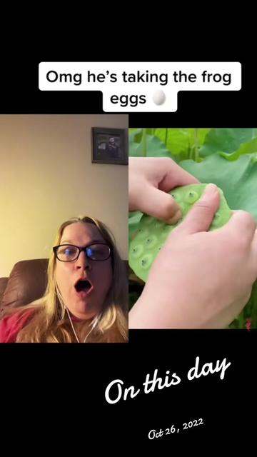 @Queenlovefrogs