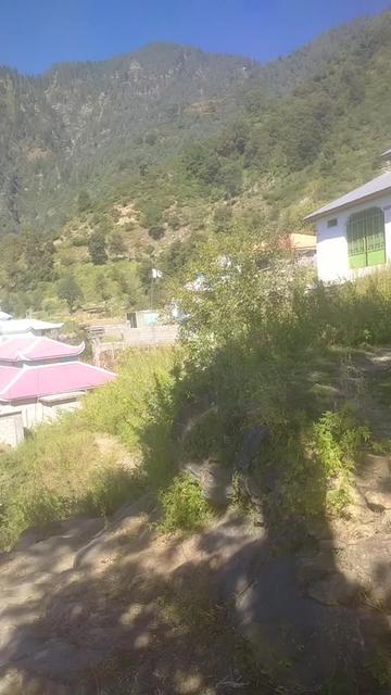 @Raja Reyaz