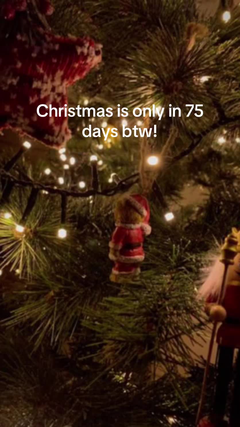 @christmas vibes!