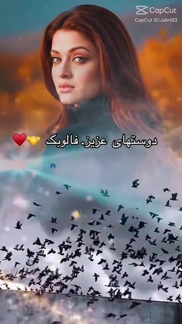 @shakiba Noori