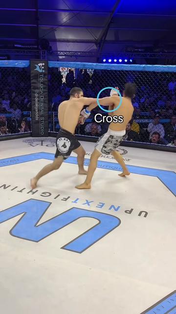 @UpNext Fighting