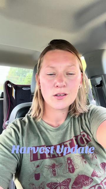 @Debdeb20