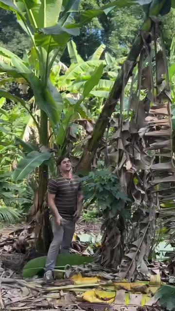 @will.harvest