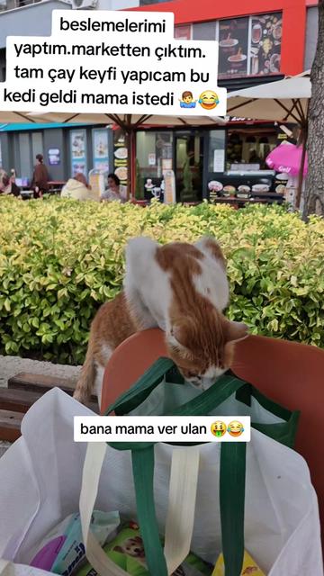 @HAYCAN MEDYA 🌐✔️