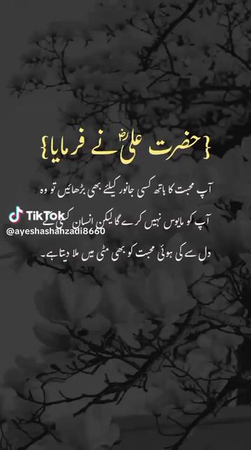 @AhsanMumtazBaqir