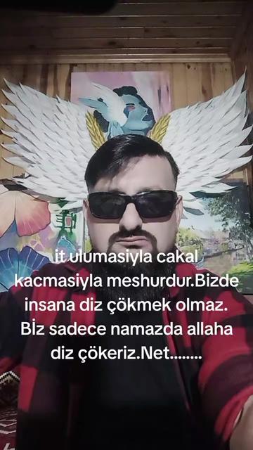 @ððBð-ððððððððððâïž