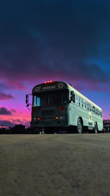 @BusandBunny