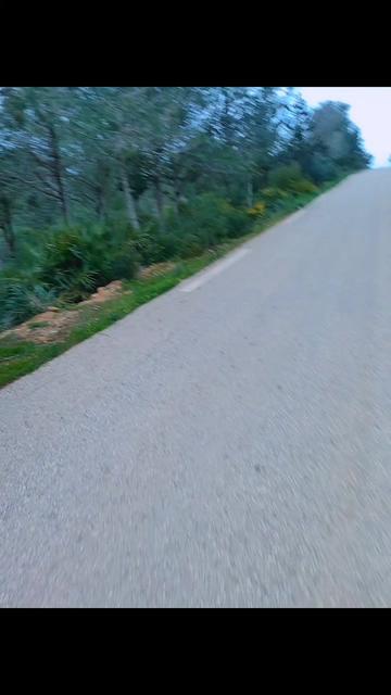 @Mahboul Grave259