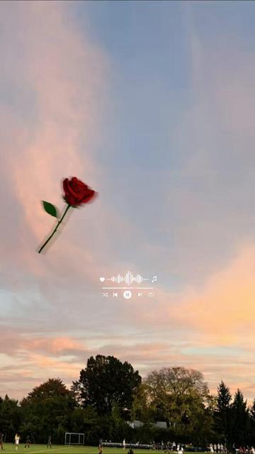 @nice_music🎧