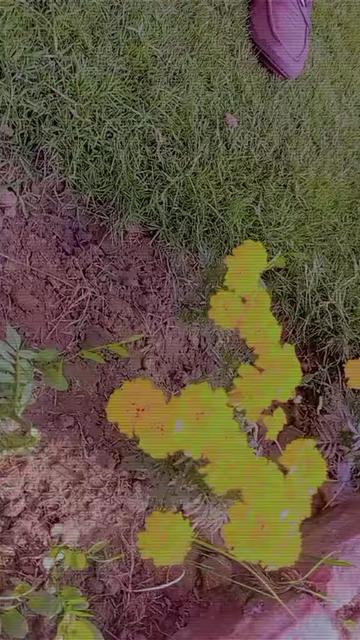 @꧁ꜱʜᴀʜ_ᴊᴇᴇ꧂