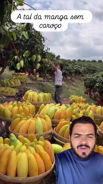 @Obrasilense