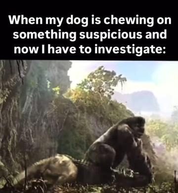 @Laughviral