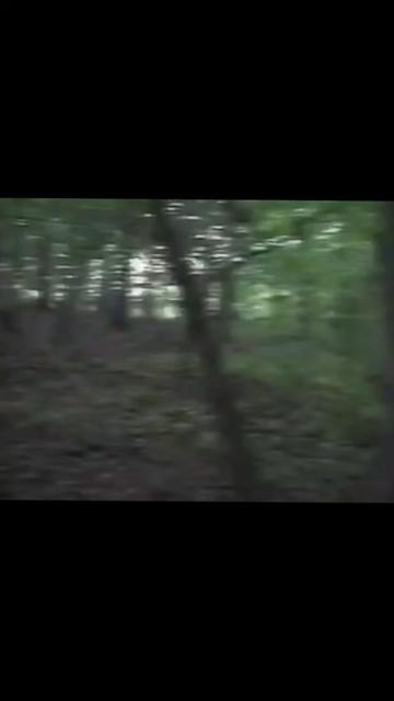 @YZMNZTR ALT
