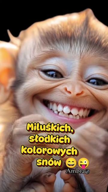 @Ambra@