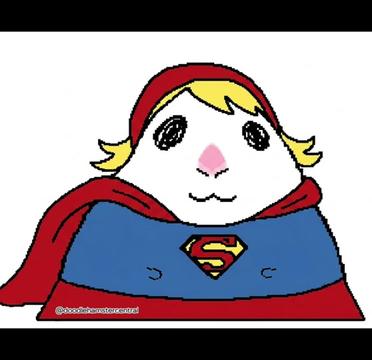 @doodlehamster