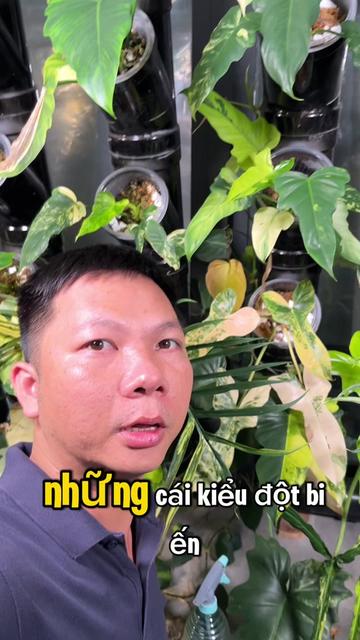 @Huy Kiểng L&aacute;