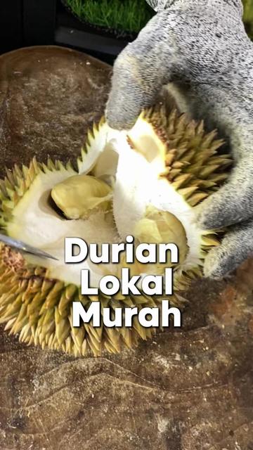 @CICIP DURIAN