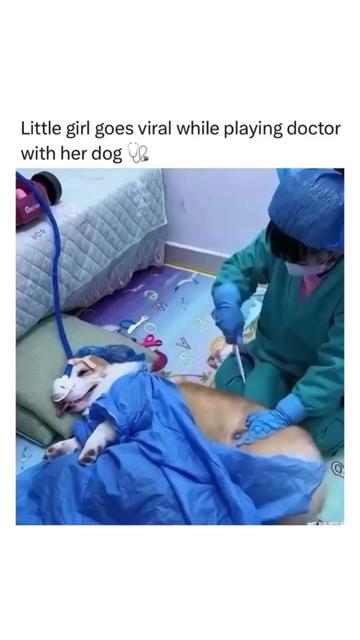 @MAKE A FRIEND PAWS ๐พ