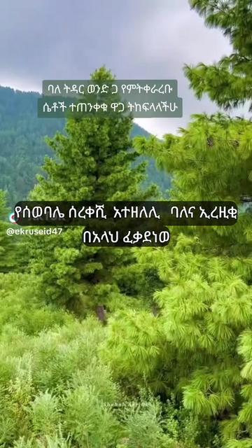 @ኩን ፈየኩን