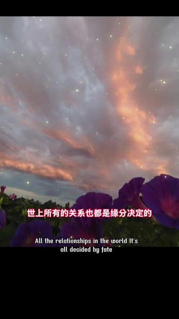 @能量姐