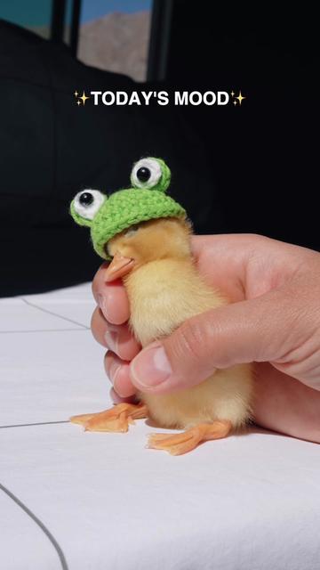 @ducks_in_space🪿🪿💦