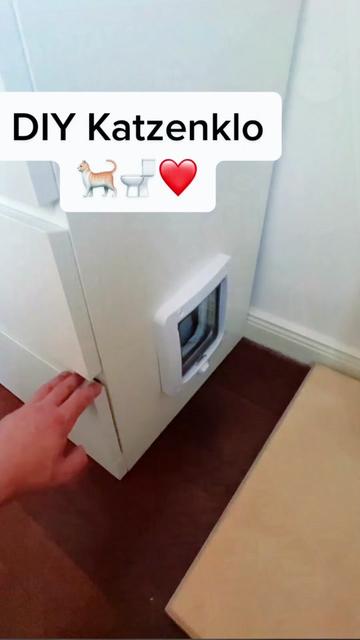 @Erxin