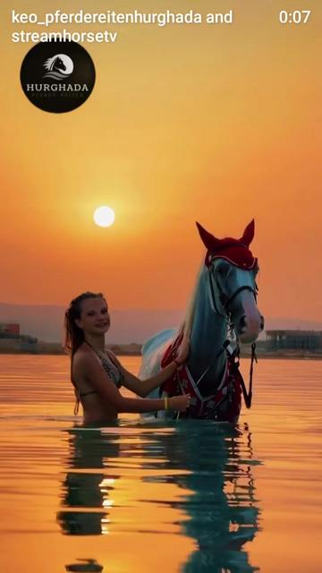@streamhorse