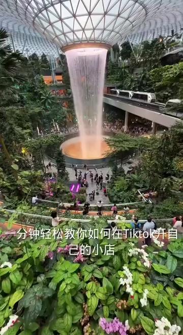 @美区TikTok小店招商部