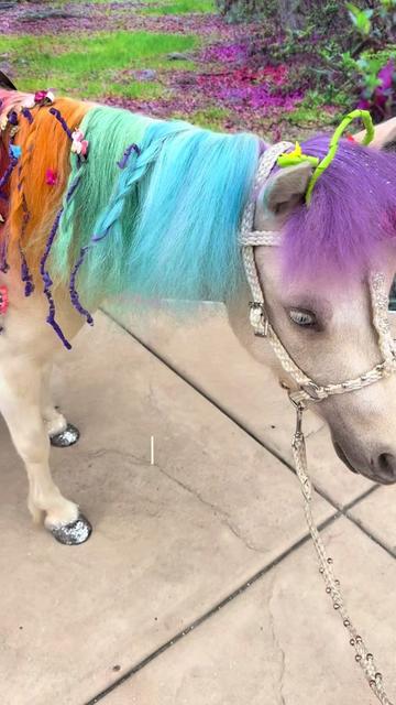 @The Posh Unicorn