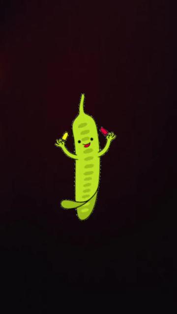 @guajes🫛🫛frijoles🫘🌶