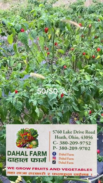 @B.A Organic Farm(380)209-9752